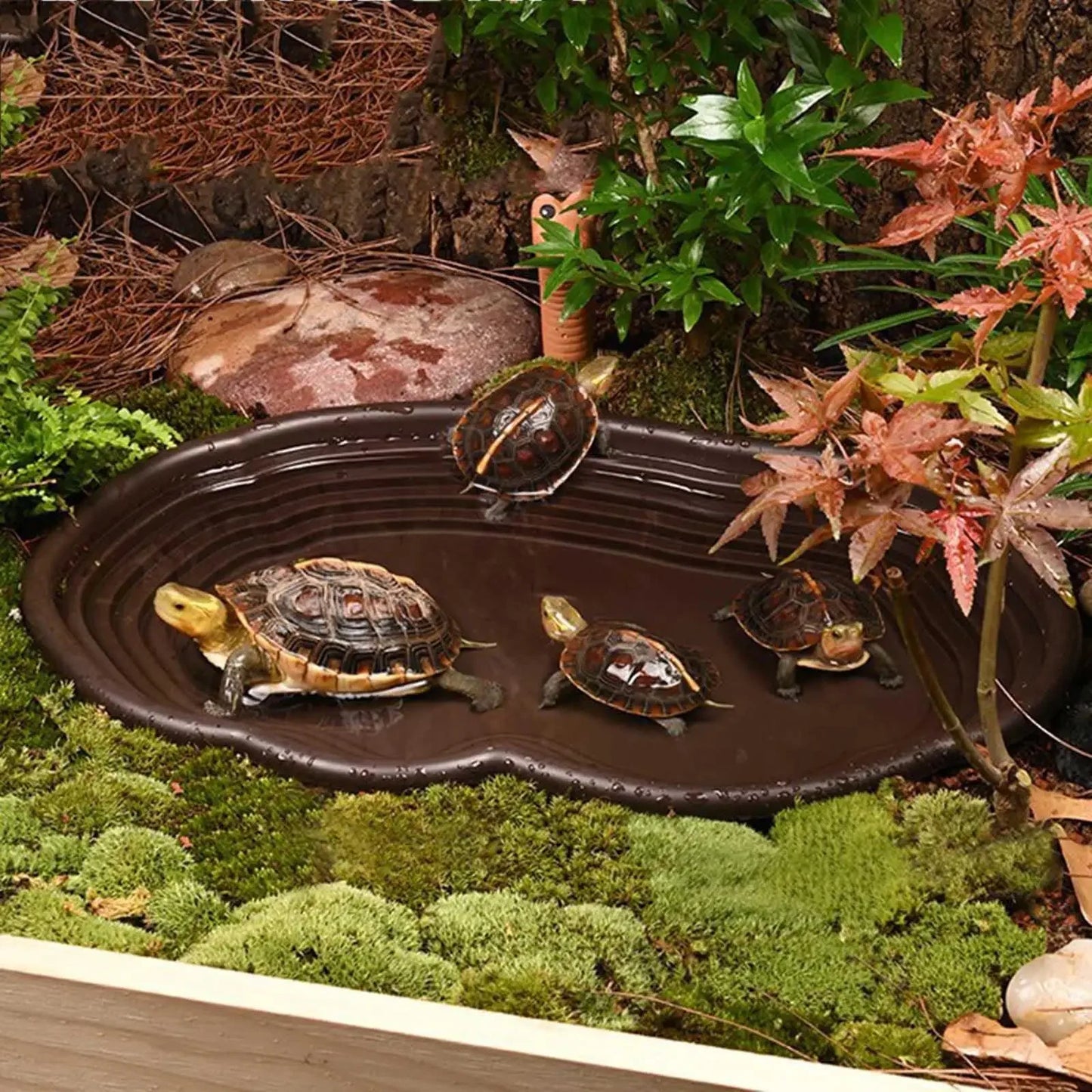Reptile Bathing Pool Amphibians Accessories Large With Ramp Reptile Water Bowl For Tortoise Turtle Hamster Scorpion Leopard Pet