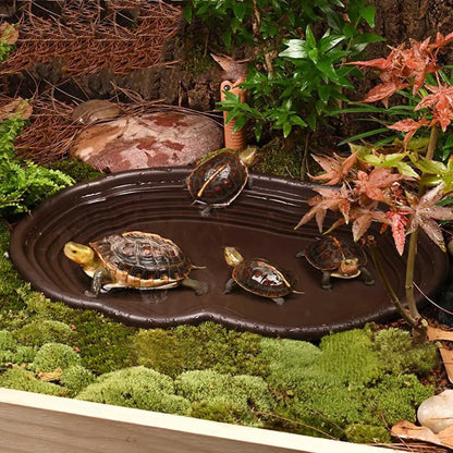 Reptile Bathing Pool Amphibians Accessories Large With Ramp Reptile Water Bowl For Tortoise Turtle Hamster Scorpion Leopard Pet