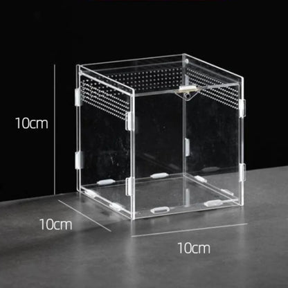 Durable Acrylic Reptile Habitat Anti-Escape Multiple Size Spider Feeding Case Clear Arboreal Lizard Breeding Box for Chameleon