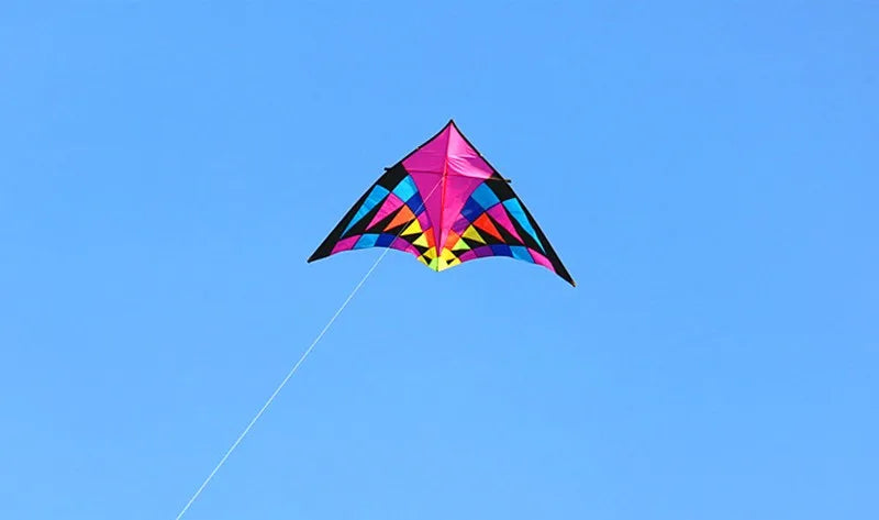 Free shipping large delta kites professional for adults kites flying toys sport kites windsurfing show kites fried flight kites