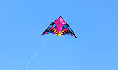 Free shipping large delta kites professional for adults kites flying toys sport kites windsurfing show kites fried flight kites