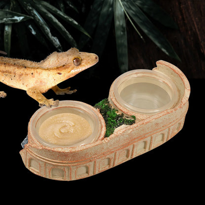 Two-in-One Reptile Food and Water Bowl, resin material, includes 2 easy-clean plastic bowls, suitable for lizards, geckos