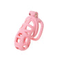 2026 New Chastity Lock Cage SM Flirting Breathable Resin Male Virginity Device Fetish Male Penis Lock with 4 Rings