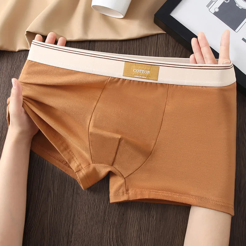1/3Pcs Set Solid Color Men's Boxer Shorts Breathable Cotton Elastic Boyshorts Antibacterial 7A Level Comfortable Male Underwear