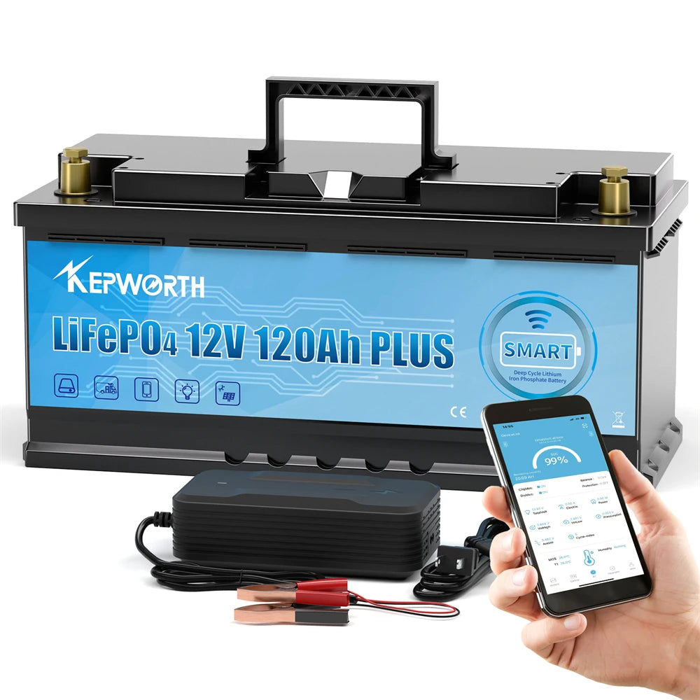 12V/24V LiFePO4 Battery with BMS - 30/50/100/120/135/300Ah for Golf Cart, Solar, RV, EV - Long Lifespan