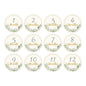 12PCS Baby Photography Birthday Cards 1-12 Month Card Baby Milestone Children Photography Props Birthday Party Decoration Gift