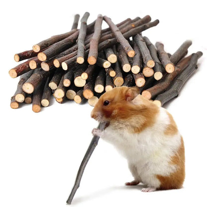 100% Natural Apple Branch Rabbit Chew Sticks Small Pet Chinchillas Netherlands Pig Hamster Bite Molars Clean Teeth Wooden Toys