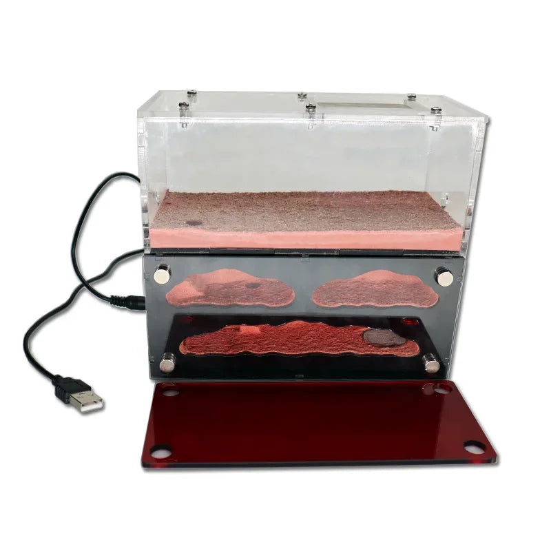 Ecological Ant Farm House with Independent Lights Control Ant Nest Concrete Insect Hotel Pet Anthill Workshop 3 Lights Ant House