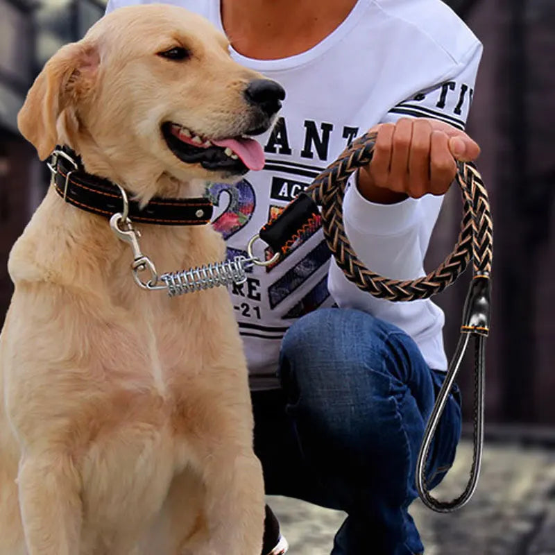 Heavy and Duty Large Dog Leash Genuine Leather Braided Dog Training Leash for Shepherd Medium Large Dogs Pet Supplies