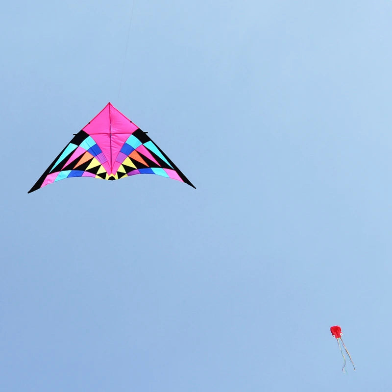 Free shipping large delta kites professional for adults kites flying toys sport kites windsurfing show kites fried flight kites