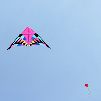 Free shipping large delta kites professional for adults kites flying toys sport kites windsurfing show kites fried flight kites