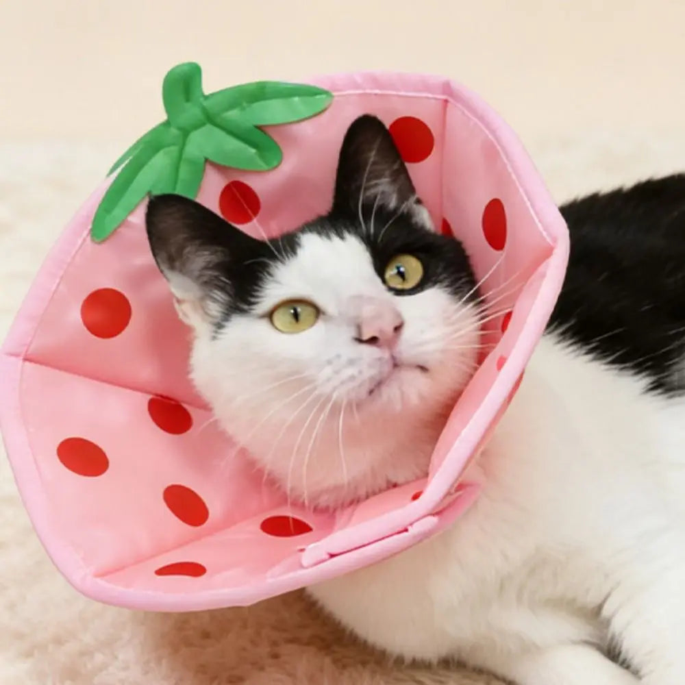 Cartoon Cat Elizabeth Collar Strawberry Bees Cat Neck Protective Circle Breathable Anti-Scratch Cat Dog Grooming Cover