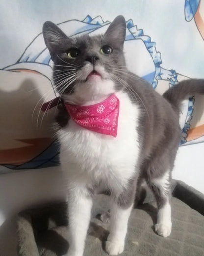 Adjustable Pet Puppy Cat Scarf Bandana Collar Neck Scarf For Small Dogs Kitten Saliva Towel PU Collar with Triangular Bandage