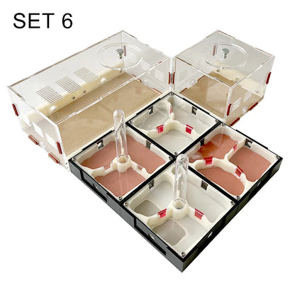 Acrylic Ant Farm Unlimited Expansion Ant Nest with Feeding Area Gypsum Ant House Pet Anthill Workshop Moisturizing Water Tower
