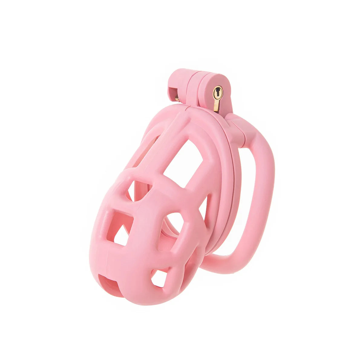 2026 New Chastity Lock Cage SM Flirting Breathable Resin Male Virginity Device Fetish Male Penis Lock with 4 Rings