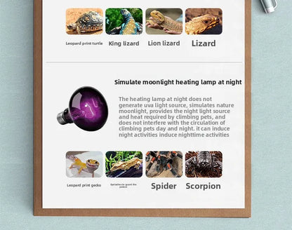 SuperRep Frosted UVA Reptile Heat Lamp-Daylight Basking Bulb for Tortoises & Bearded Dragons-Gentle Warming Light for Terrariums