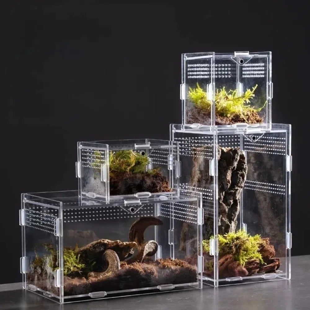 New Acrylic Reptile Habitat Anti-Escape Clear Spider Feeding Case Multiple Size Arboreal Small Pet Cage for Chameleon Clear