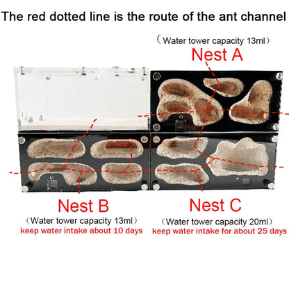 Expanded Anthill Ant House Acrylic Ant Kennel Insect Box Concrete Ant Farm Intelligent Temperature Control Ants Nest Spliceable