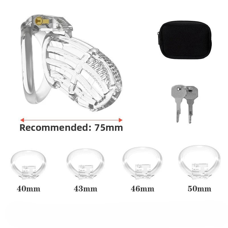 BDSM Chastity Cage 4 Size Ring Penis Cage Device Femdom Restraint Penis Lock Breathable Urethral Lock Bondage Device for Men