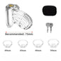 BDSM Chastity Cage 4 Size Ring Penis Cage Device Femdom Restraint Penis Lock Breathable Urethral Lock Bondage Device for Men