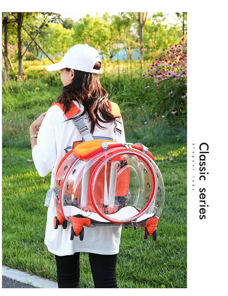 Pet Luggage, Transparent Space Capsule, Multi-purpose Backpack, Cat Bag, Large Capacity, Two Portable Small Dogs, Outdoor Bag