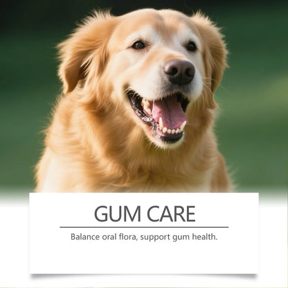 Dog Dental Care Powder Cat Breath Freshener Plaque Tartar Control Pet Oral Hygiene Natural Enzyme Teeth Cleaning Healthy Gums