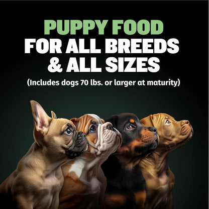 BULLY MAX HIGH PROTEIN & GROWTH WHOLESOME FORMULA FOR PUPPIES, Promotes Strong Muscle Development And Overall Health 120g