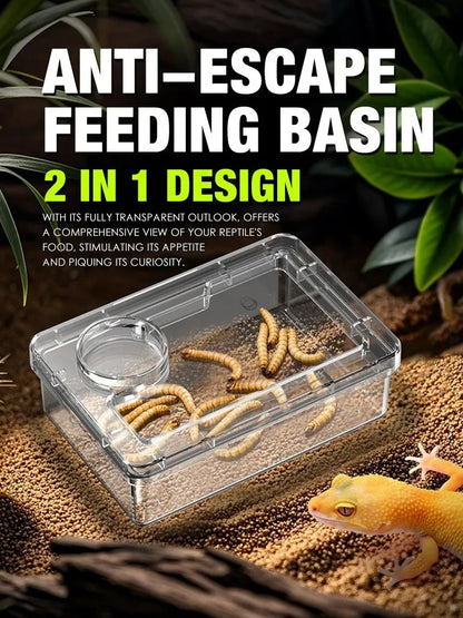 Reptile Lizards Geckos Feeding Bowls Anti Overturning Transparent Water Bowls Anti Escape