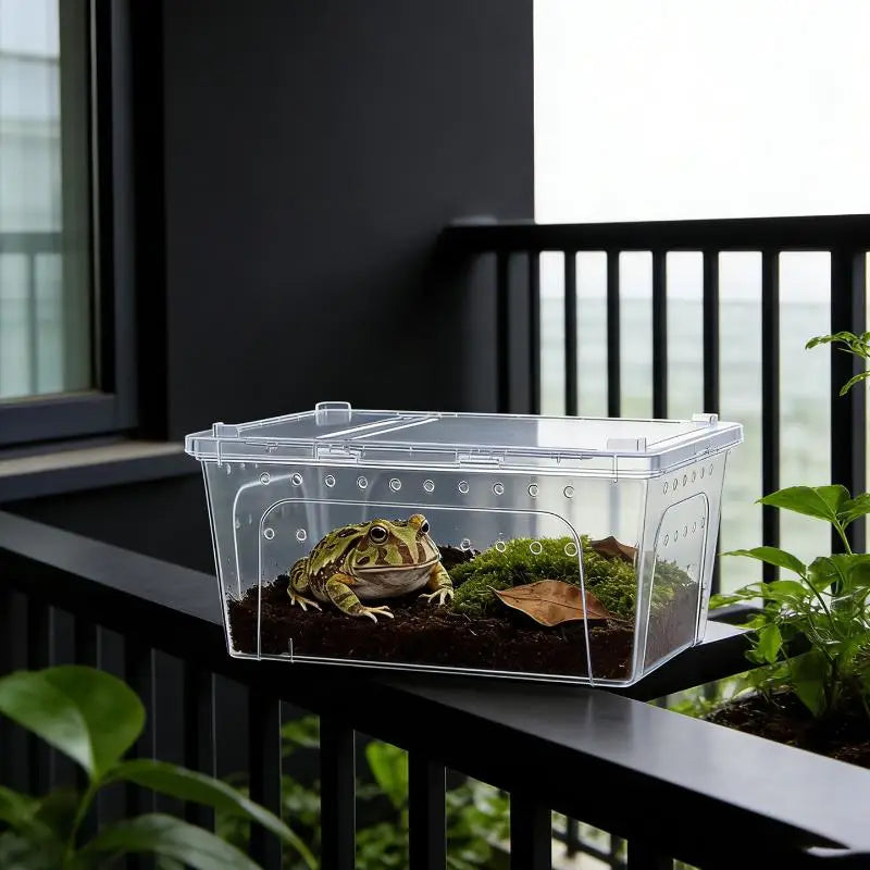 Hot Sale Clear Plastic Reptile Terrarium Ventilated Breeding Box For Lizards Snakes And Small Pets