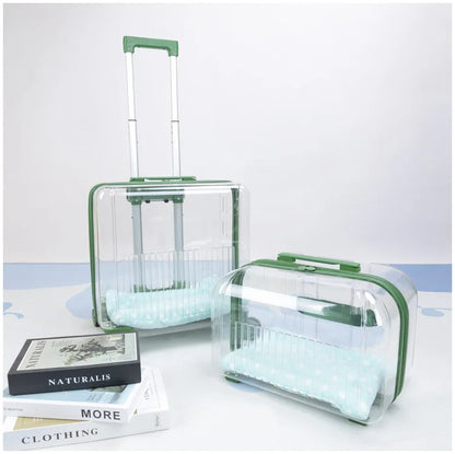 Pet Outdoor Suitcase Portable Car Mounted Double-layer Transparent Breathable Cat and Dog Tour Cat Bag