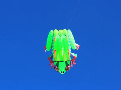 Frog kite cometas profesionales kite flying cerf volant gonflable outdoor games aquilone acrobatico vlieger haspel parplan pipa