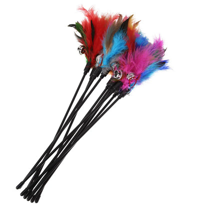 5pcs/set Interactive Funny Cat Stick Colorful Feather Cat Game Wand Exquisite Portable Creative Fashion Novelty Pet Cat Supplies
