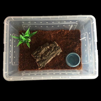 1pc Vivarium Lid Reptile Pet Product Reptile Tank Insect Spiders Tortoise Lizard Transparent Breeding Box