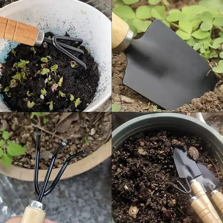 3Pcs Mini Garden Tools Set for Indoor Plants Cactus Vegetables Digging Weeding Flower Pot Small Plants Gardening Kit