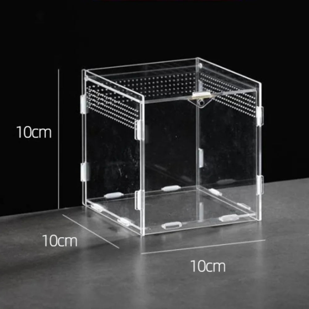 New Acrylic Reptile Habitat Anti-Escape Clear Spider Feeding Case Multiple Size Arboreal Small Pet Cage for Chameleon Clear