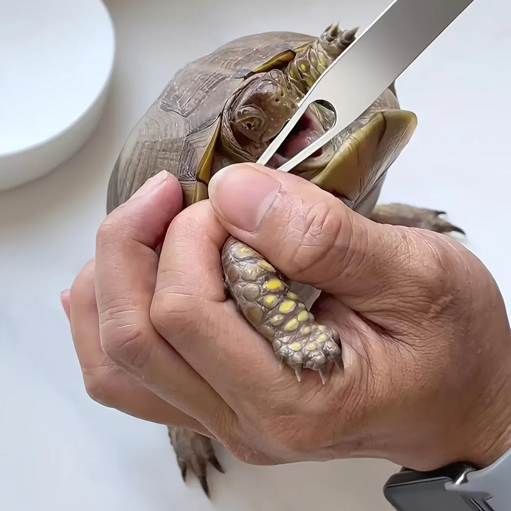 Turtle & Reptile Opener Tool with Ergonomic Handle & Sharp Tip - Safe Non-Damaging Shell Opening for Feeding,Medication,Cleaning