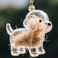 New Clear Puppy Hair Memorial Keepsake Capsule Pet's Dog Fur Container DIY Pendant Keychain Decor Pet Lovers Home Display Gifts