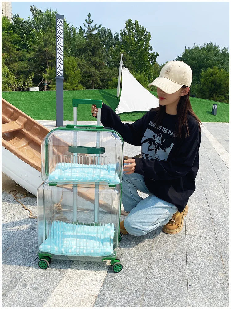 Pet Outdoor Suitcase Portable Car Mounted Double-layer Transparent Breathable Cat and Dog Tour Cat Bag