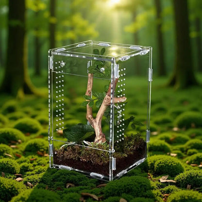 Acrylic Transparent Reptile Terrarium Breeding Box amphibian Cage Nano Arboreal Tarantula Enclosure Jumping spider Reptiles Habi