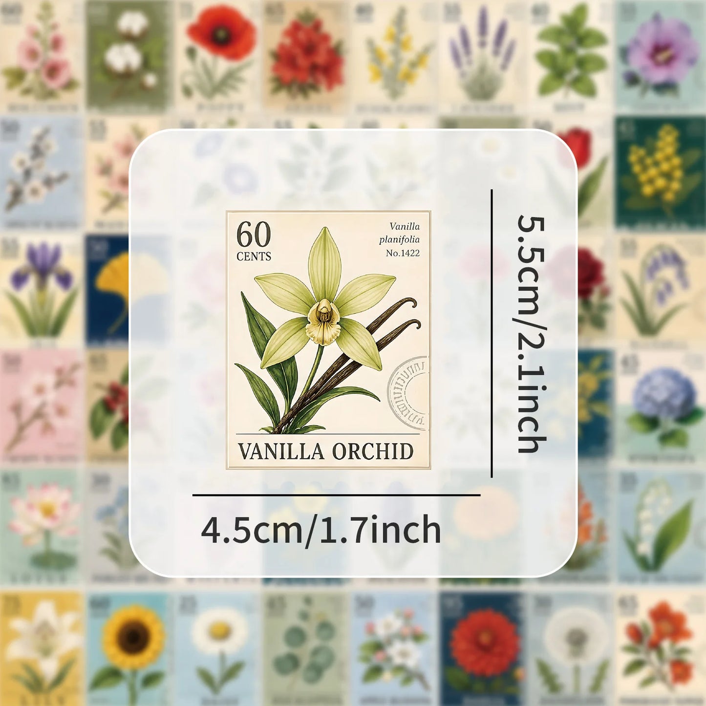 50PCS Plant Stamps Transparency Graffiti Stickers Creative Cartoon Decal Decoration Luggage Phone Cup Guitar Scrapbook Kid Toys