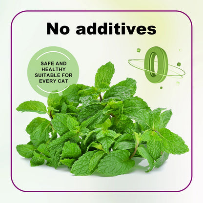 Silvervine Powder, More Attractive than Catnip for Cats, 100% Silver Vine Gall Fruit Powder, Silvervine Cat Toy for Indoor Cats