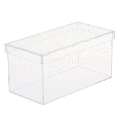 Plastic Reptile Vivarium Terrarium Easy to Observe with Reptile Terrarium Accessories for Small Animal Care
