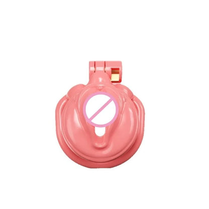 New Fashion SM Male Crossdressing Chastity Lock Pink Chastity Lock Adult Sex Toy Wholesale to Prevent Masturbation