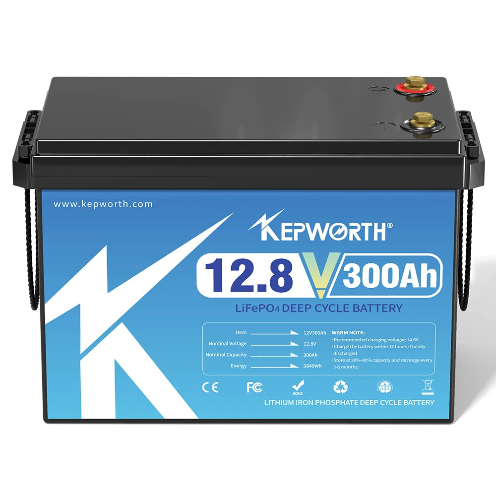 12V/24V LiFePO4 Battery with BMS - 30/50/100/120/135/300Ah for Golf Cart, Solar, RV, EV - Long Lifespan