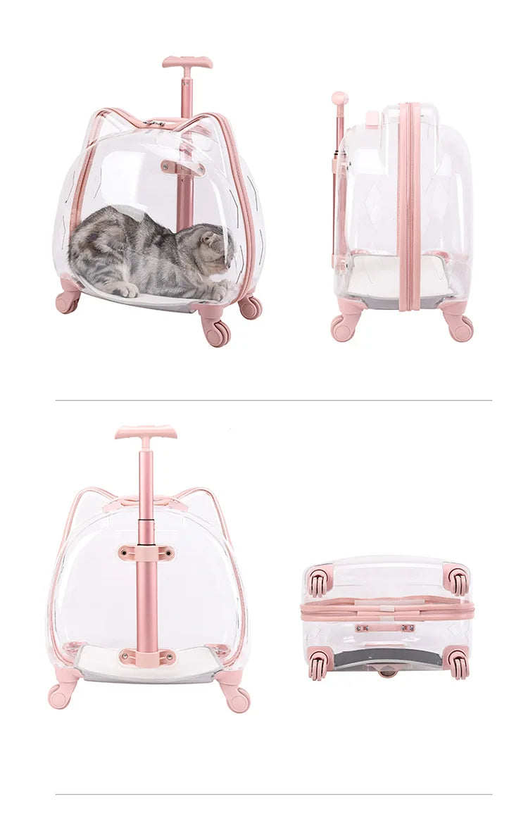 Pet Trolley Case, Fully Transparent Cat Case, Breathable Space Cabin Cat Bag, Outdoor Bag, Portable Small Dog Bag