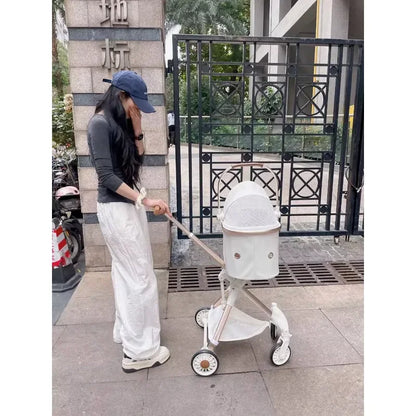 Pet Stroller Portable Folding Travel Dog Trolley Pet Stroller Factory Wholesale
