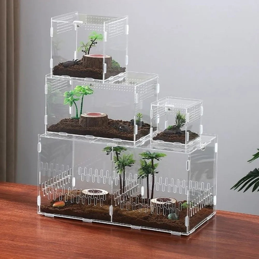 Acrylic Jumping Spider Enclosure 2 Doors Transparent Reptile Feeding Cage Ventilated Design Escape-proof Reptile Habitat
