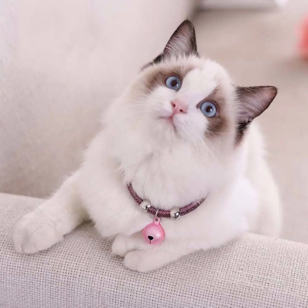 Fashion Easy Wear For Puppy Kitten Adjustable Cat Necklace Grooming Accessories Pet Collar Pet Supplies