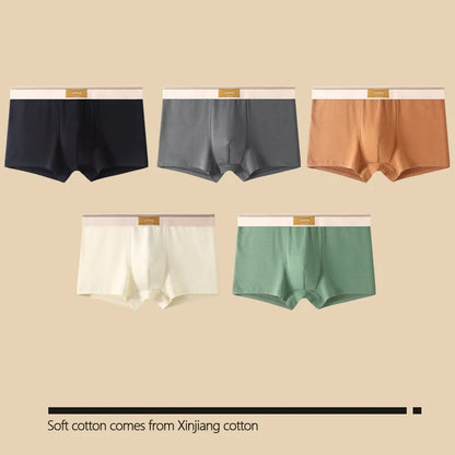 1/3Pcs Set Solid Color Men's Boxer Shorts Breathable Cotton Elastic Boyshorts Antibacterial 7A Level Comfortable Male Underwear