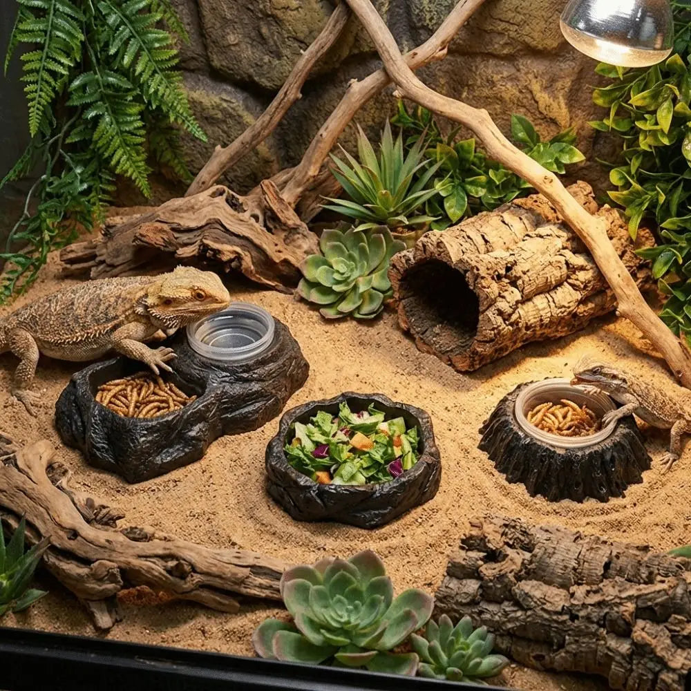 Imitation Stone Resin Rock Feeder Dish Wear Resistant Anti-knock Pet Feeder Ledge with Bowls Wide Mouth Reptile Food Bowl